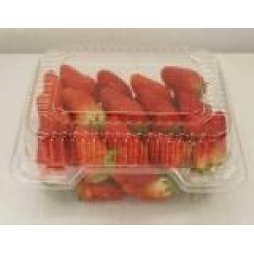 Blister Pack for Strawberry or Other Fruit (HL-110)